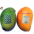 Mango-Ripener-Ethylen / Bananen-Ripener für Indien-Markt